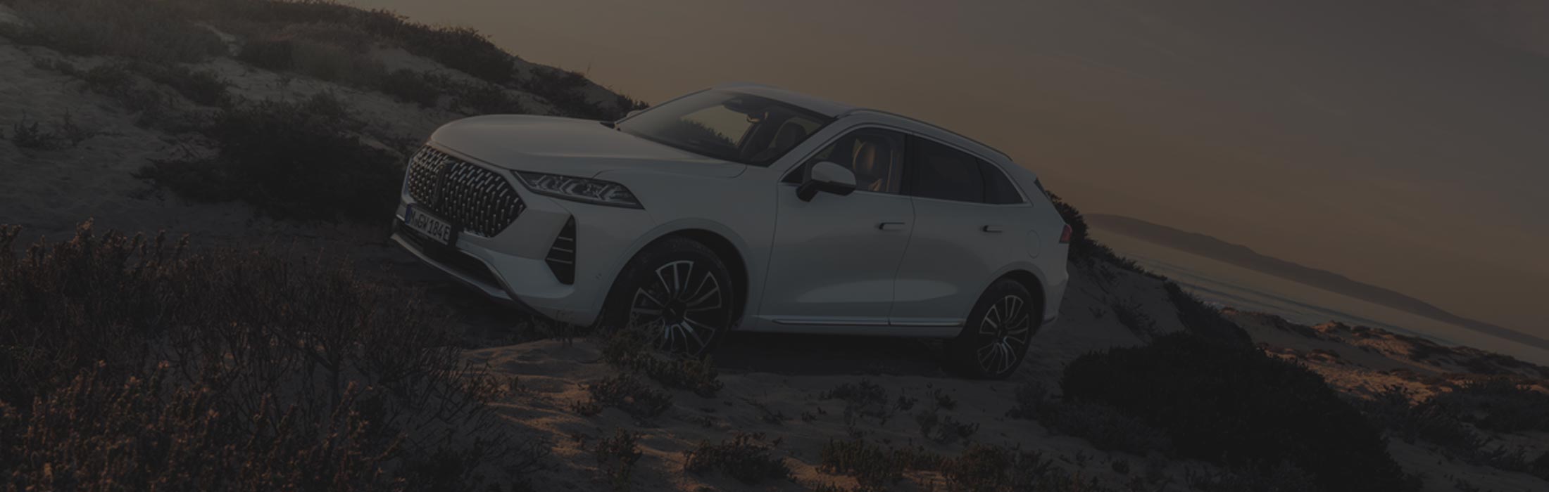 as Bild zeigt zwei Kia-Modelle: eines von vorne, das andere von hinten, mit zwei Personen in der Mitte.